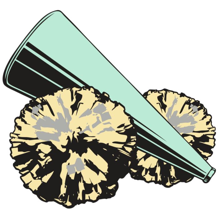 BAW CHEER 19 RC Thumbnail