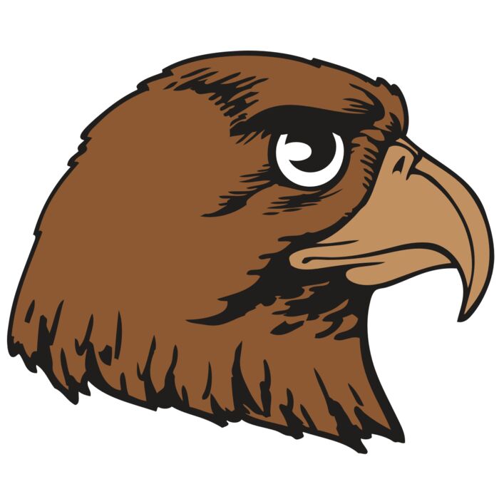 BAW HWK FLCN 05 RC Thumbnail