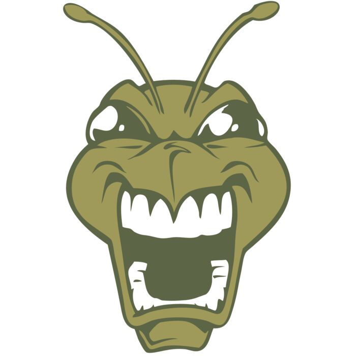 BAW BEE 13 RC Thumbnail