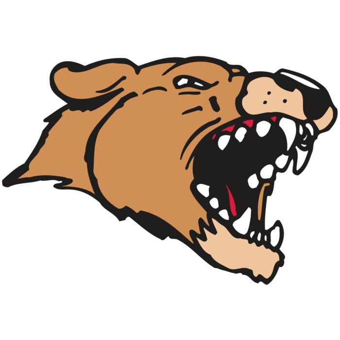 AR5 COUGAR 33 RQC Thumbnail