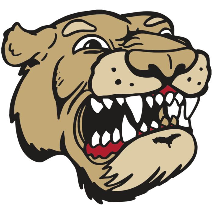 AR5 COUGAR 04 RQC Thumbnail