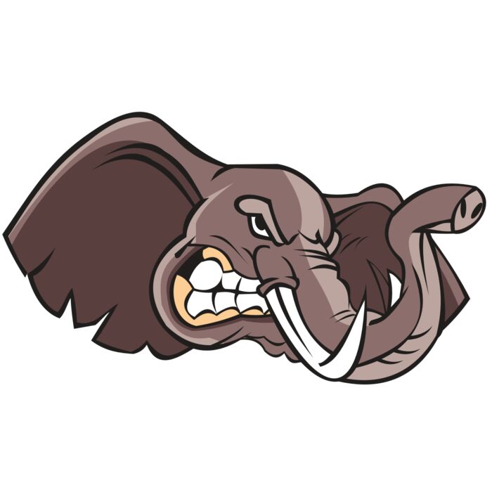 ELEPHANT HD0501 RQC Thumbnail