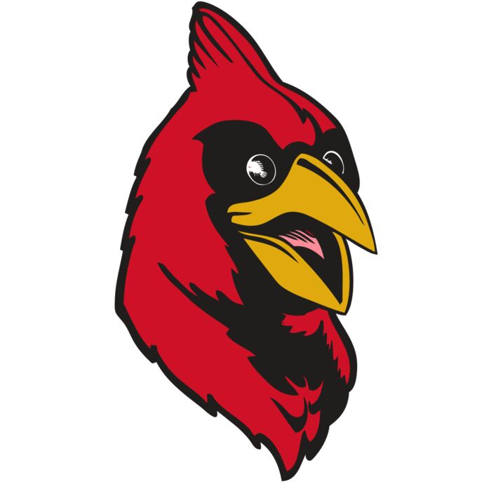 BAW CARDINAL 05 RC Thumbnail