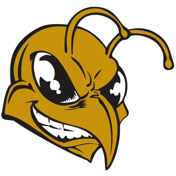 BAW BEE 18 RC Thumbnail