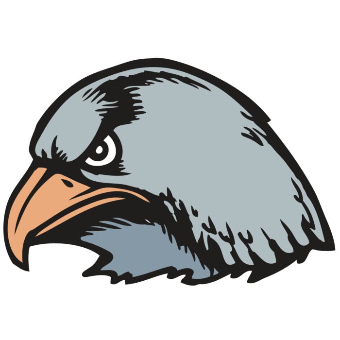 BAW HWK FLCN 03 RC Thumbnail