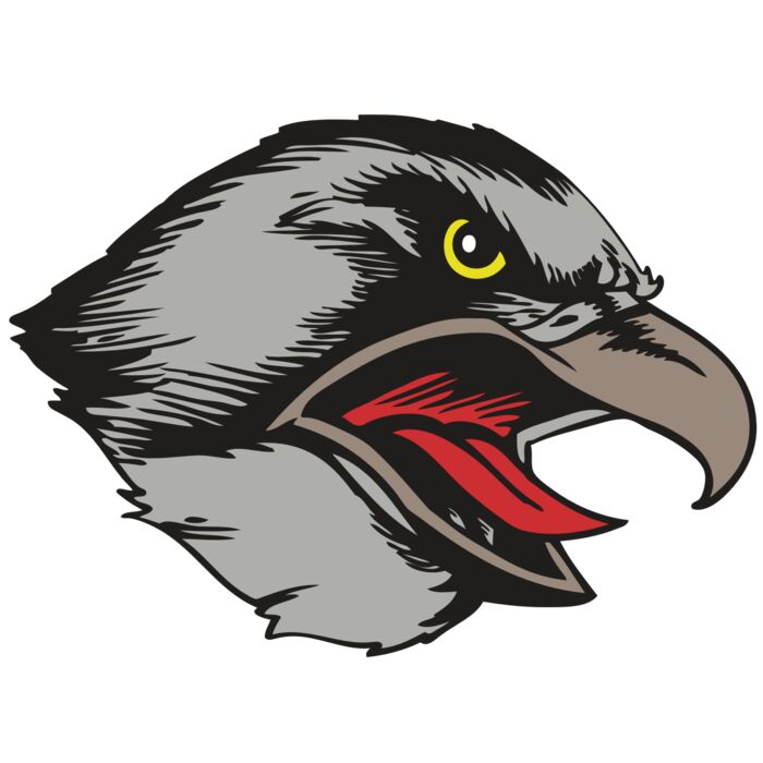 BAW HWK FLCN 13 RC Thumbnail