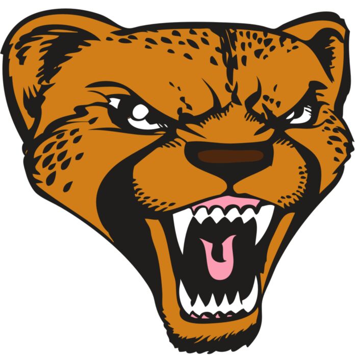 BAW CHEETAH 12 RC Thumbnail