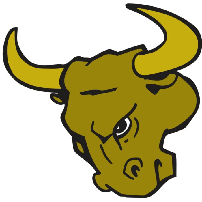 AR BULL 26 RC Thumbnail