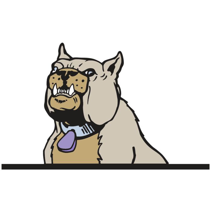 AR BDOG 57 RC Thumbnail