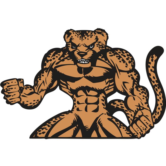 BAW CHEETAH 07 RC Thumbnail