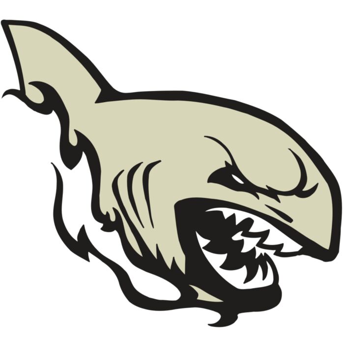 AR5 Shark 08 RQC Thumbnail