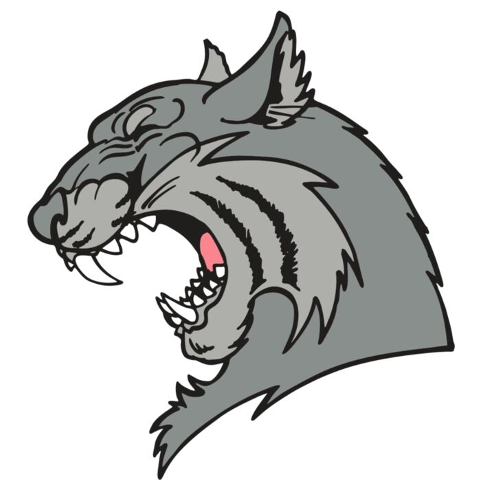 AR WILDCAT 41 RC Thumbnail