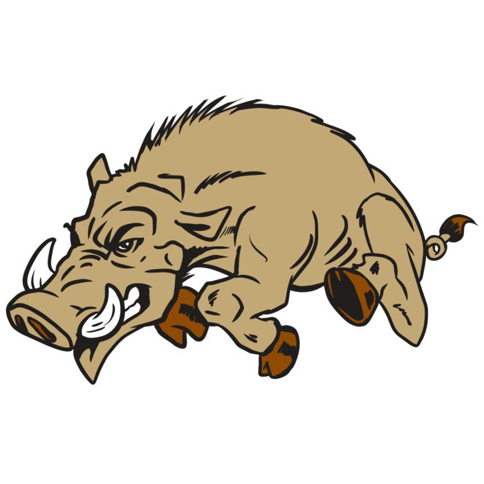 AR20 RAZORBACK 37 RQC Thumbnail