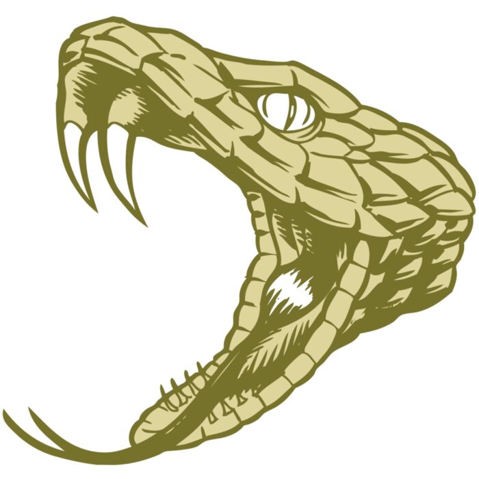 BAW SNAKE 11 RC Thumbnail