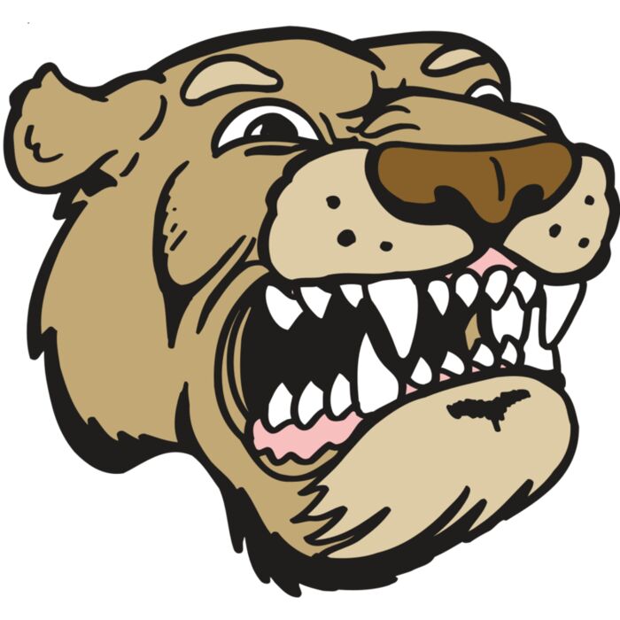 AR5 COUGAR 04 RQC Thumbnail