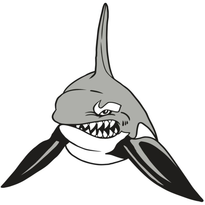 AR19 ORCA 03 RQC Thumbnail