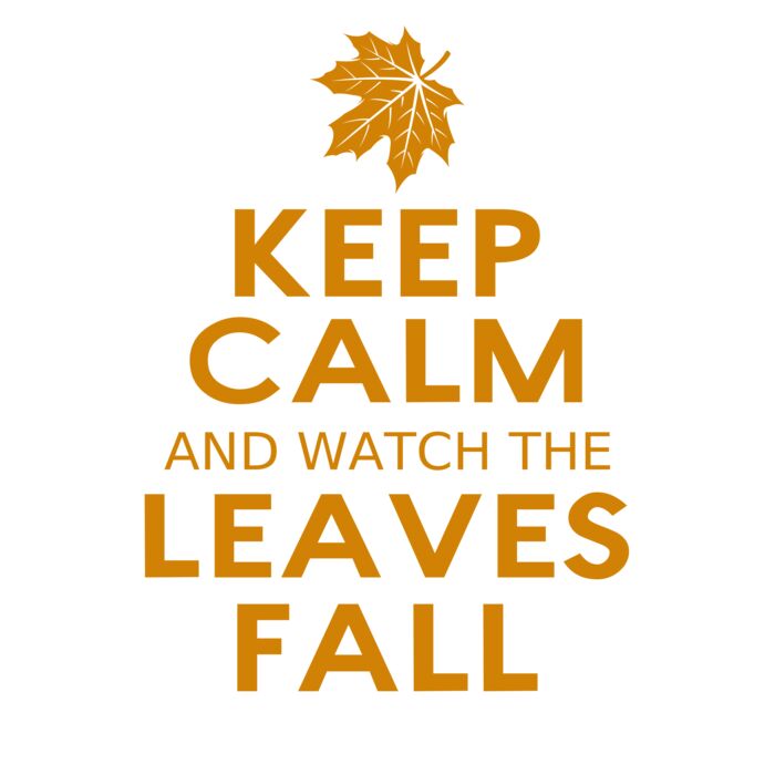 Fall Season 04 Thumbnail