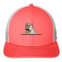 Snapback Low Profile Trucker Cap Thumbnail
