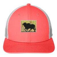 Snapback Low Profile Trucker Cap Thumbnail