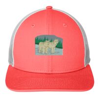 Snapback Low Profile Trucker Cap Thumbnail