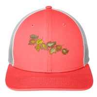 Snapback Low Profile Trucker Cap Thumbnail