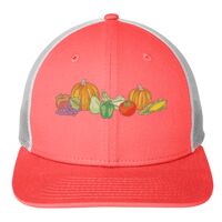 Snapback Low Profile Trucker Cap Thumbnail