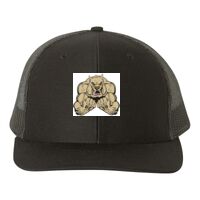 Snapback Trucker Cap Thumbnail