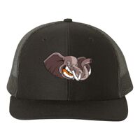 Snapback Trucker Cap Thumbnail