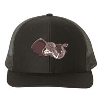 Snapback Trucker Cap Thumbnail