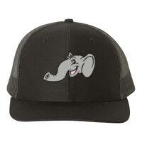 Snapback Trucker Cap Thumbnail