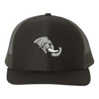 Snapback Trucker Cap Thumbnail