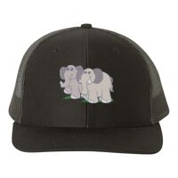 Snapback Trucker Cap Thumbnail