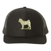 Snapback Trucker Cap Thumbnail