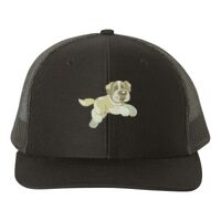 Snapback Trucker Cap Thumbnail