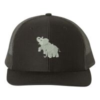 Snapback Trucker Cap Thumbnail