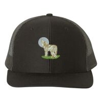 Snapback Trucker Cap Thumbnail