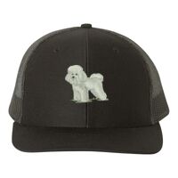 Snapback Trucker Cap Thumbnail