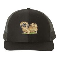 Snapback Trucker Cap Thumbnail