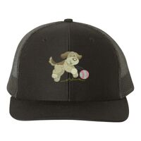 Snapback Trucker Cap Thumbnail