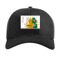 Pro Twill Snapback Thumbnail