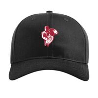 Pro Twill Snapback Thumbnail