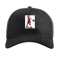 Pro Twill Snapback Thumbnail