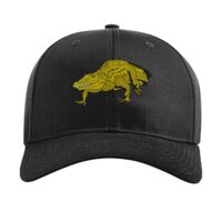 Pro Twill Snapback Thumbnail