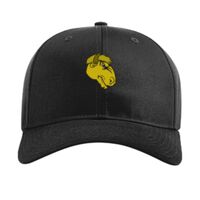 Pro Twill Snapback Thumbnail