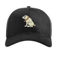 Pro Twill Snapback Thumbnail