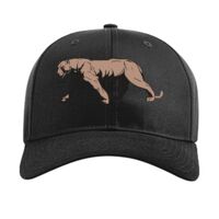 Pro Twill Snapback Thumbnail