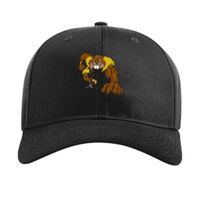 Pro Twill Snapback Thumbnail