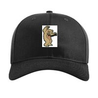 Pro Twill Snapback Thumbnail