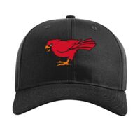 Pro Twill Snapback Thumbnail