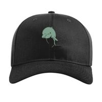 Pro Twill Snapback Thumbnail